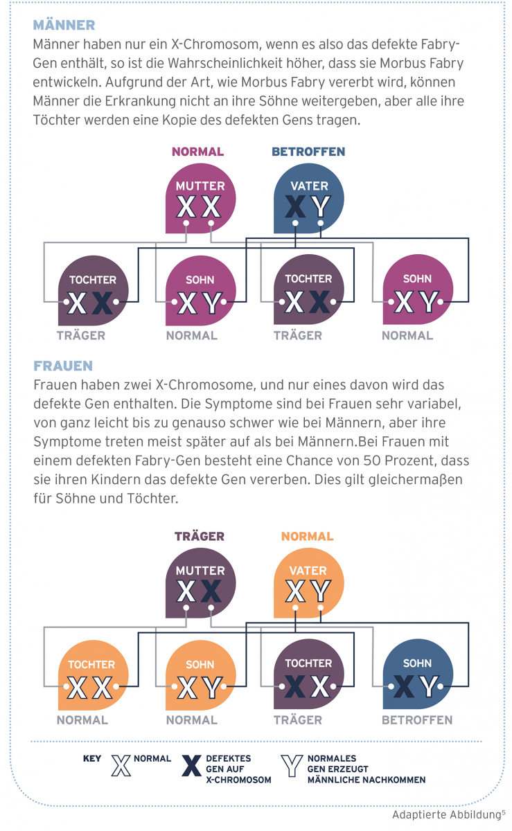 Vererbung und Verbreitung